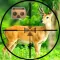 VR Jungle Deer Hunting