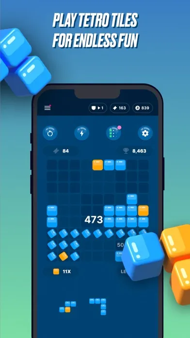 Tetro Tiles - Block Puzzle Screenshots