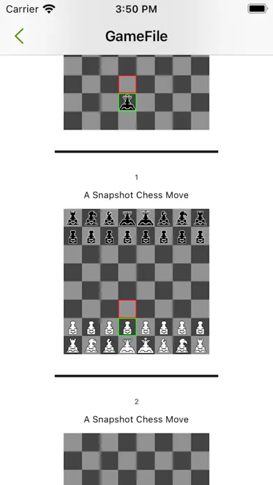 Snapshot Chess Move スクリーンショット