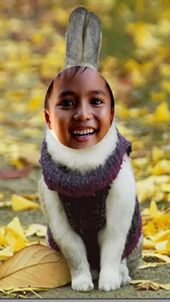 Скриншоты Animal Face Photo Montage