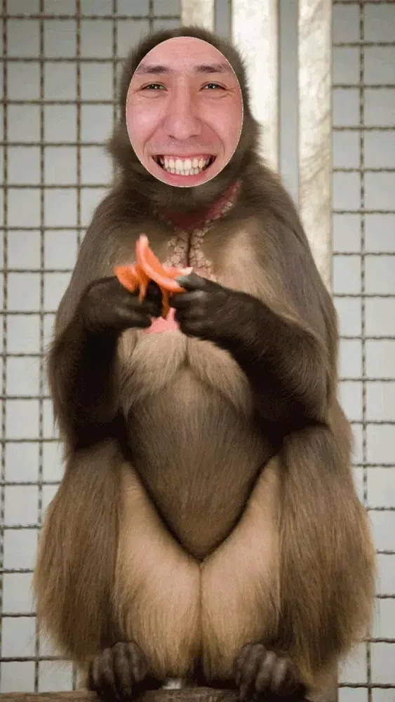 Скриншоты Animal Face Photo Montage