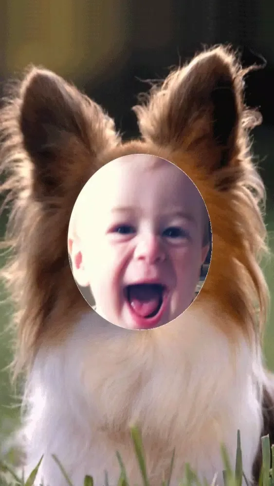 Скриншоты Animal Face Photo Montage