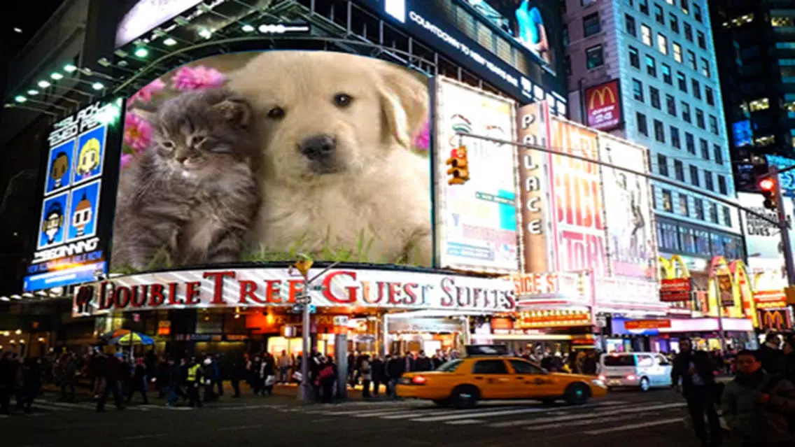 Billboard Photo Frames Deluxe スクリーンショット