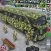 Army Bus Transporter