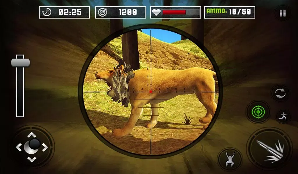 Animals Jungle Lion Shooting Screenshots