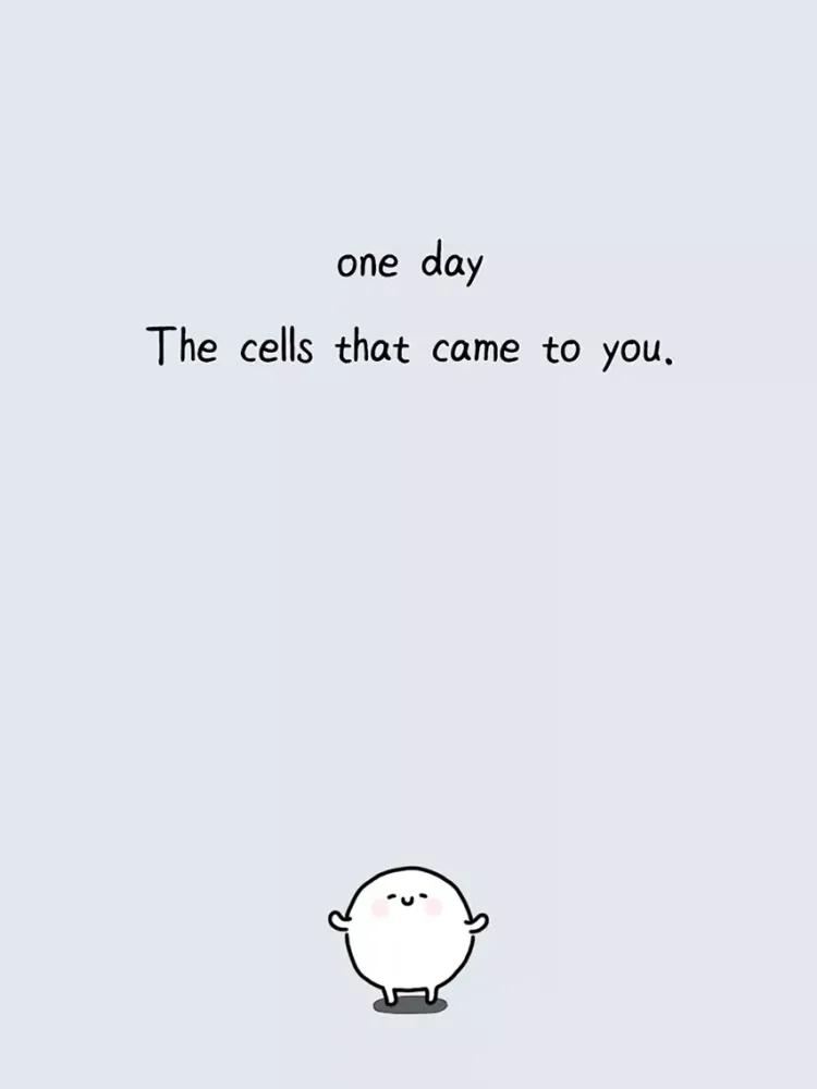 My 49 days with cells iPad 應用截圖