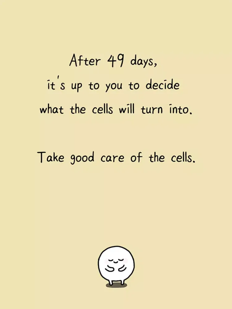 My 49 days with cells iPad 應用截圖