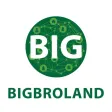 Bigbroland.com Bigbroland.com