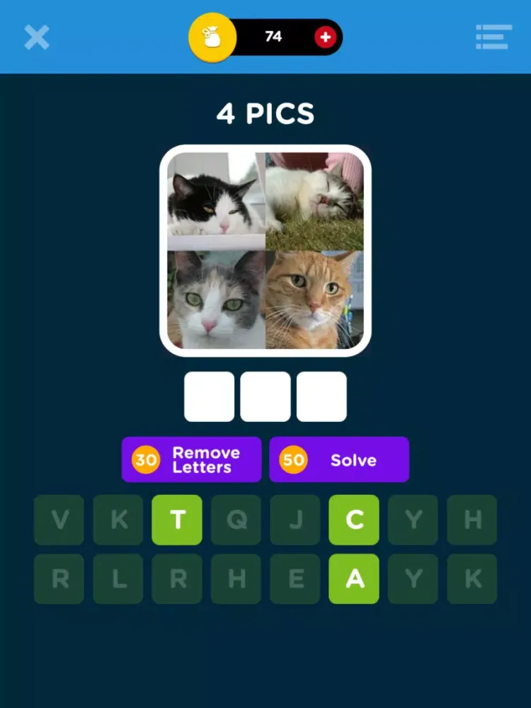 *The Ultimate Quiz* iPad 应用截图