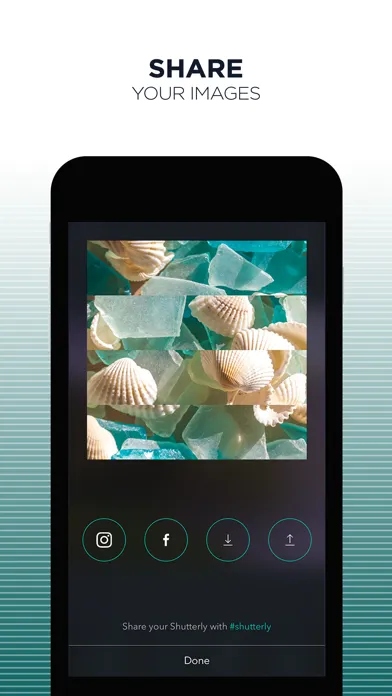 صور Shutterly - Slice and dice your photos