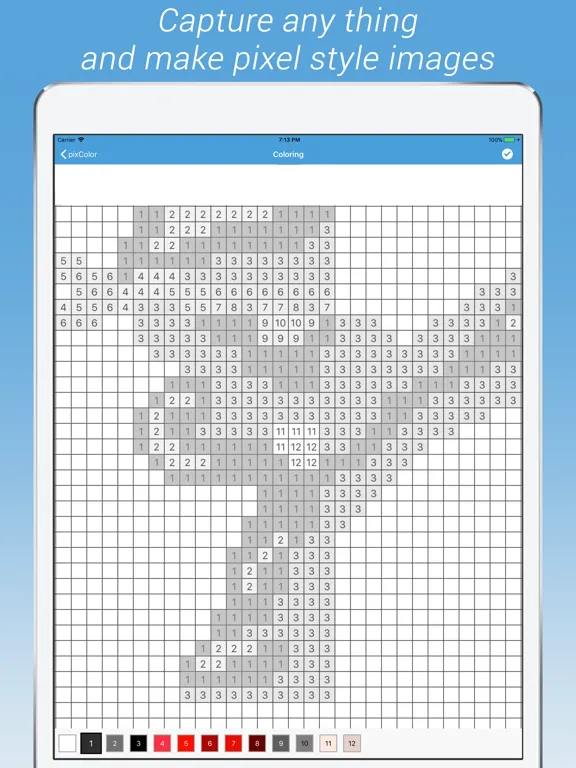 PixColor : Draw pixel art iPad  স্ক্রিনশট
