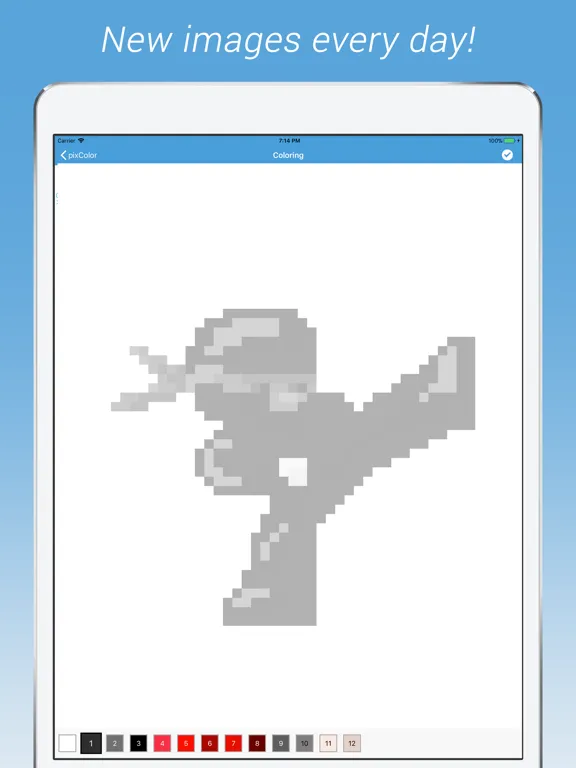 PixColor : Draw pixel art iPad  স্ক্রিনশট