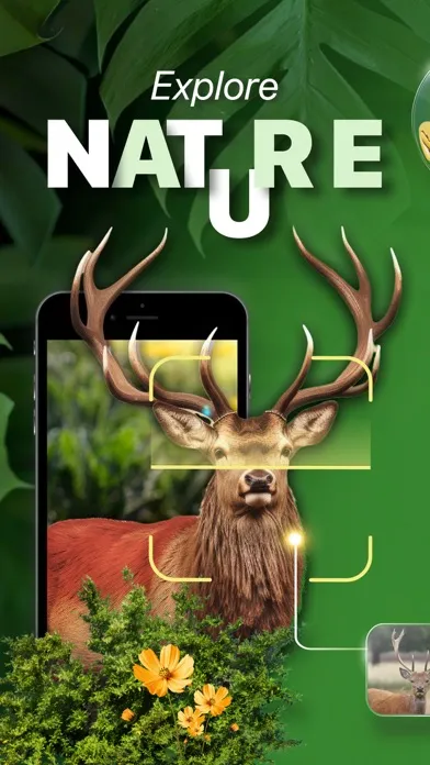 Zrzuty ekranu Nature ID - Plant Identifier