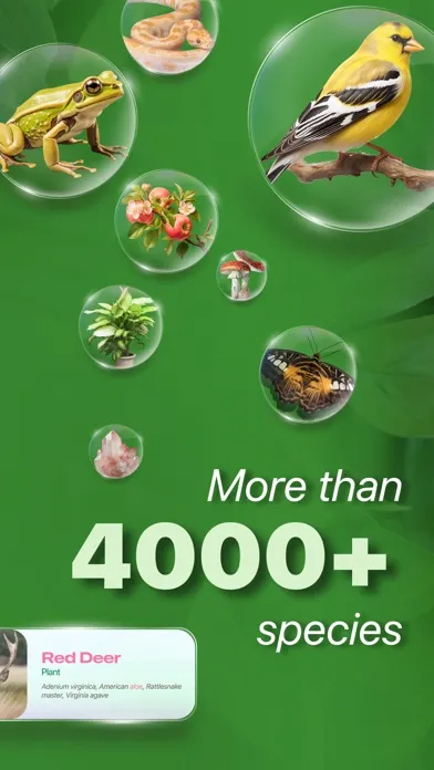 Zrzuty ekranu Nature ID - Plant Identifier