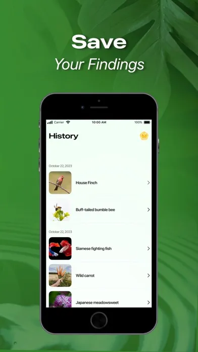 Zrzuty ekranu Nature ID - Plant Identifier
