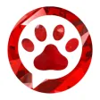 vPET - Thú Cưng Online