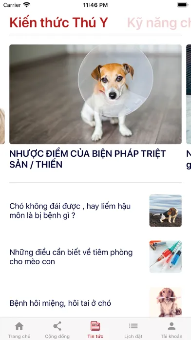 Captures d'écran de vPET - Thú Cưng Online