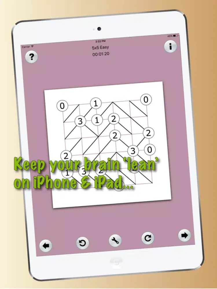 Tangkapan skrin GE SlantLite iPad 