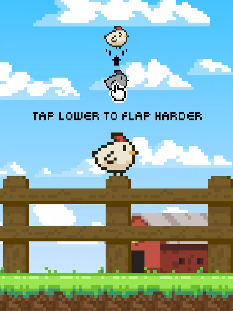 Flutter Chicken iPad  스크린샷