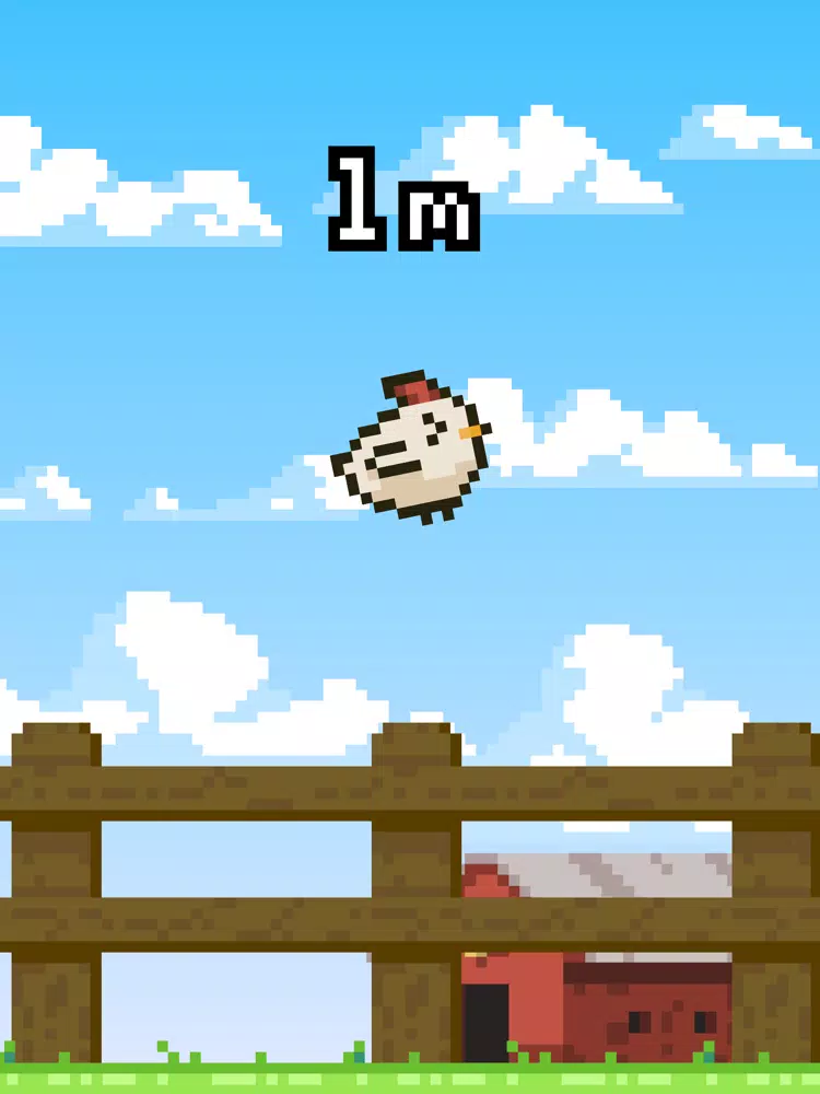 Flutter Chicken iPad  스크린샷
