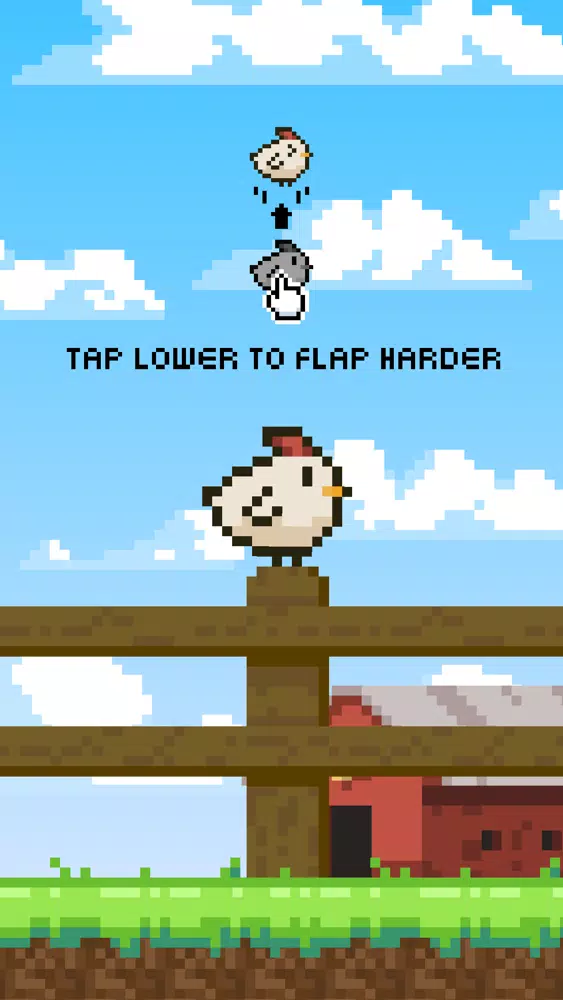 Flutter Chicken 스크린샷
