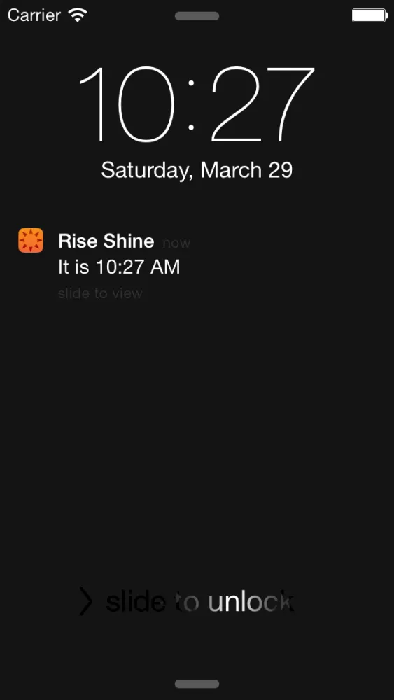 RISE-N-SHINE应用截图