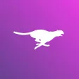Cheetah Agility
