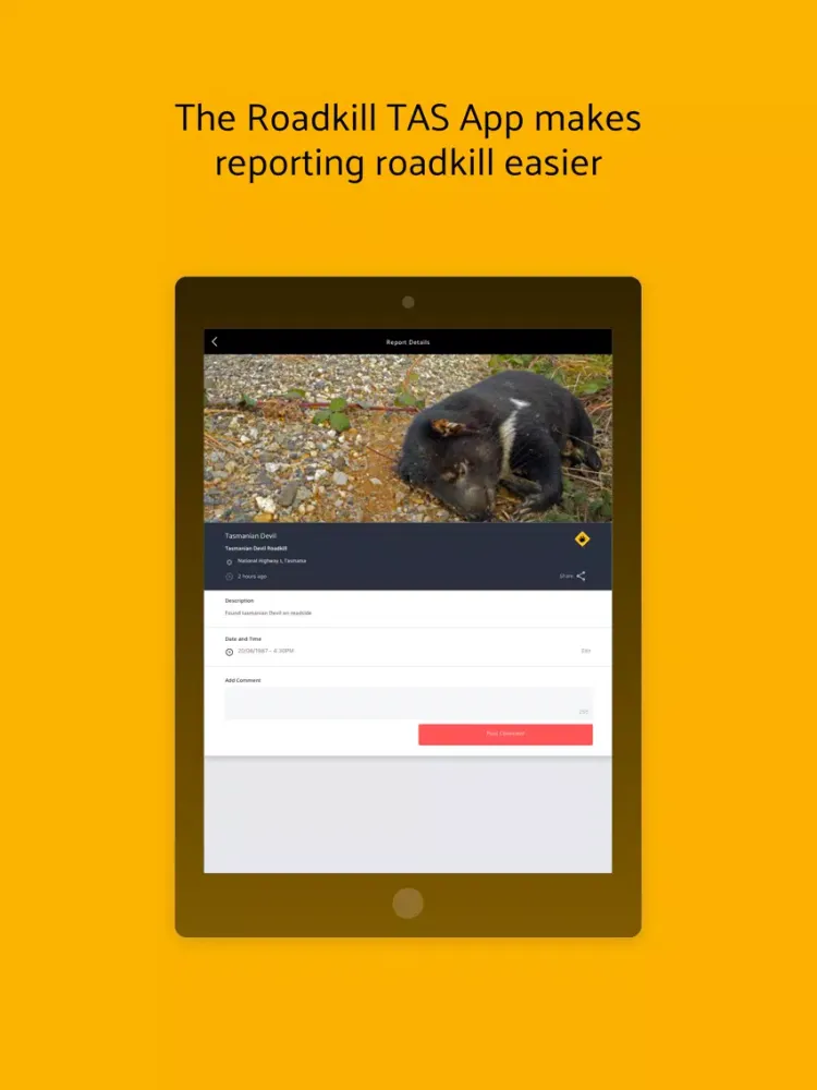 Tangkapan skrin Roadkill TAS iPad 