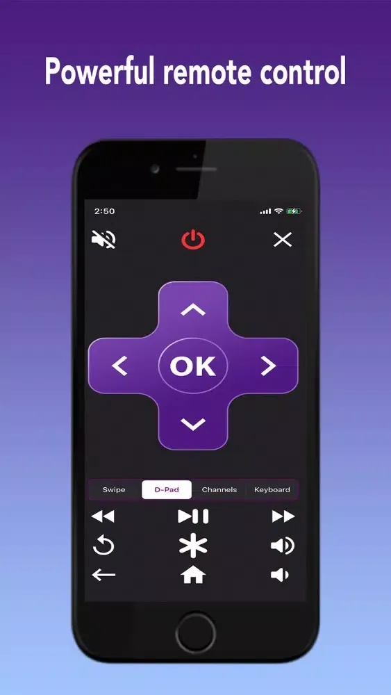 Скриншоты Rokuer Screen Mirror