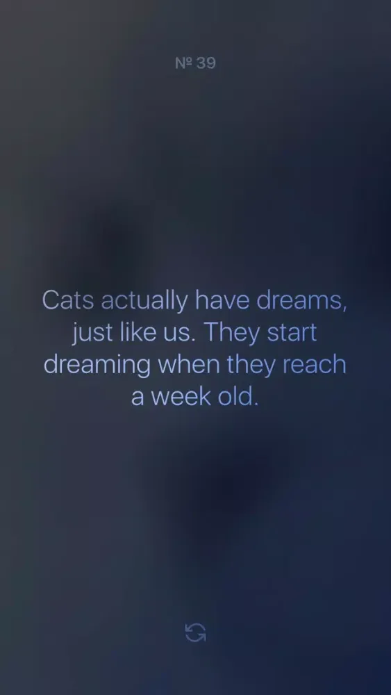 ภาพหน้าจอของ Cat Facts Extreme