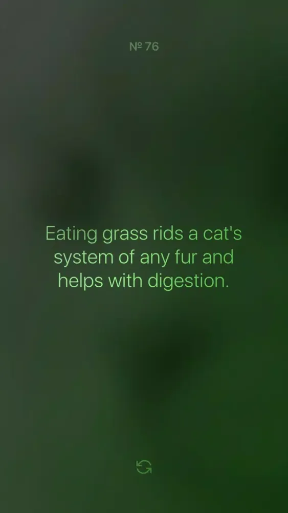 ภาพหน้าจอของ Cat Facts Extreme