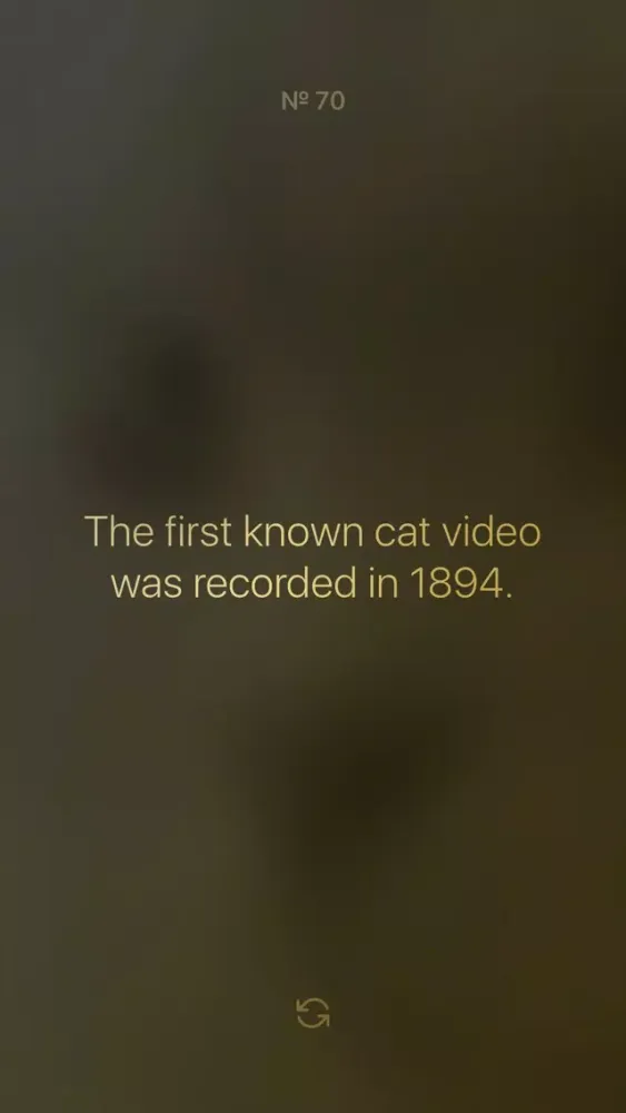 ภาพหน้าจอของ Cat Facts Extreme