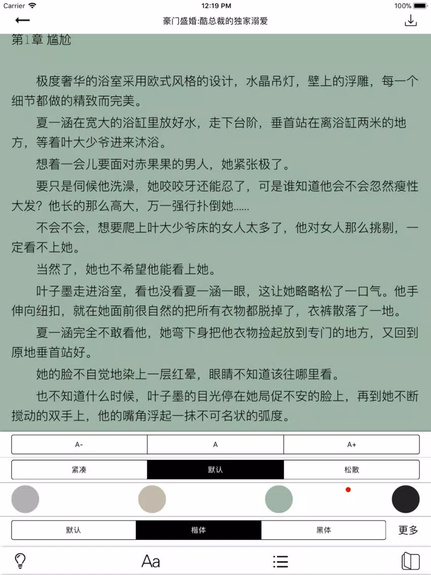 暴走看书-言情小说txt阅读神器 iPad  Screenshots