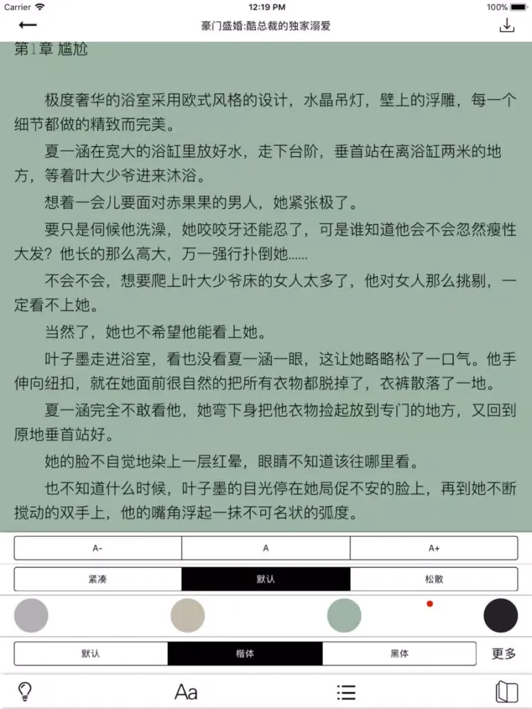 暴走看书-言情小说txt阅读神器 iPad 应用截图