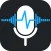 Voice Recorder Audio Sound MP3