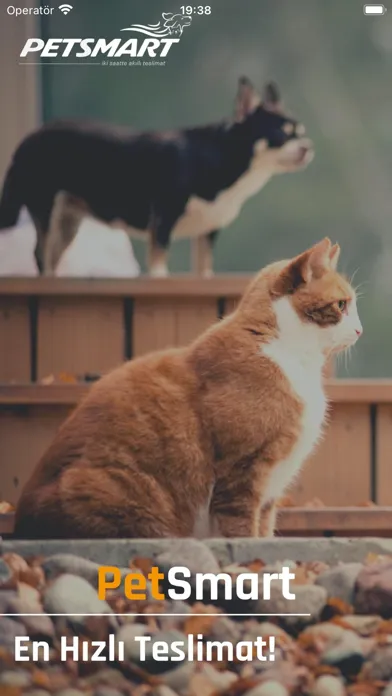 تصاویر Pet Smart