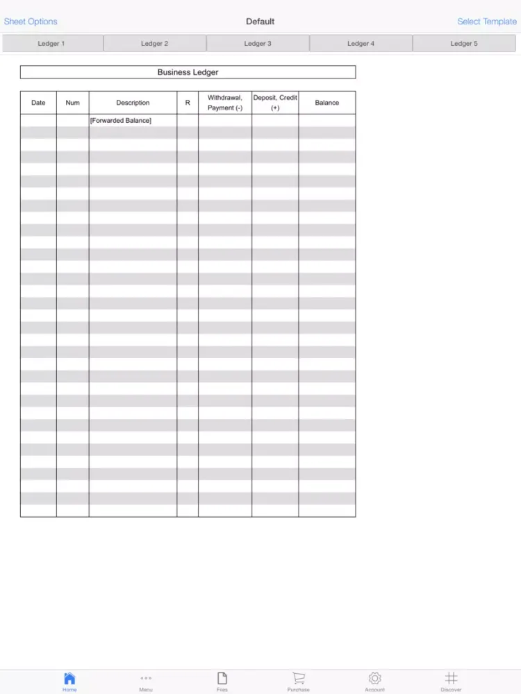 Tangkapan skrin Business Ledger Pro iPad 