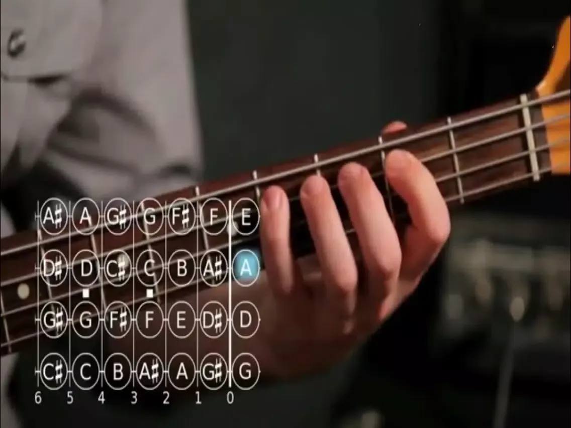 Play Bass iPad  스크린샷