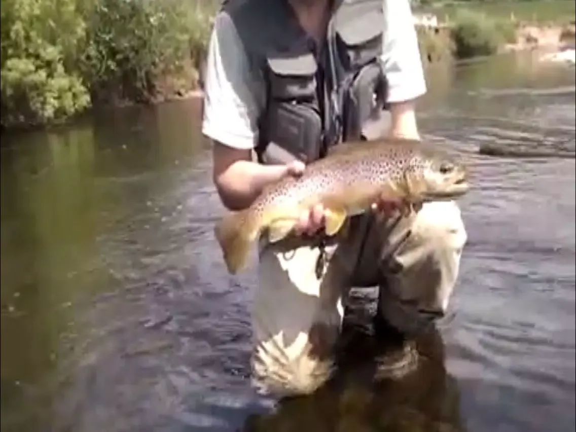 Tangkapan layar River Fishing iPad 