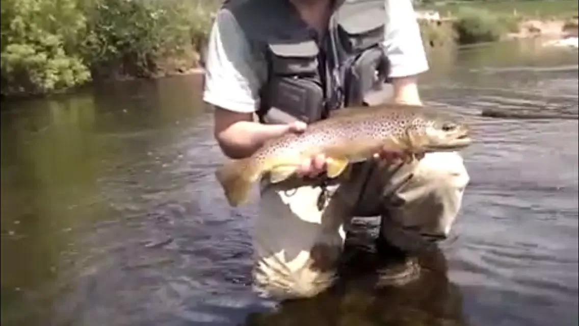 Tangkapan layar River Fishing