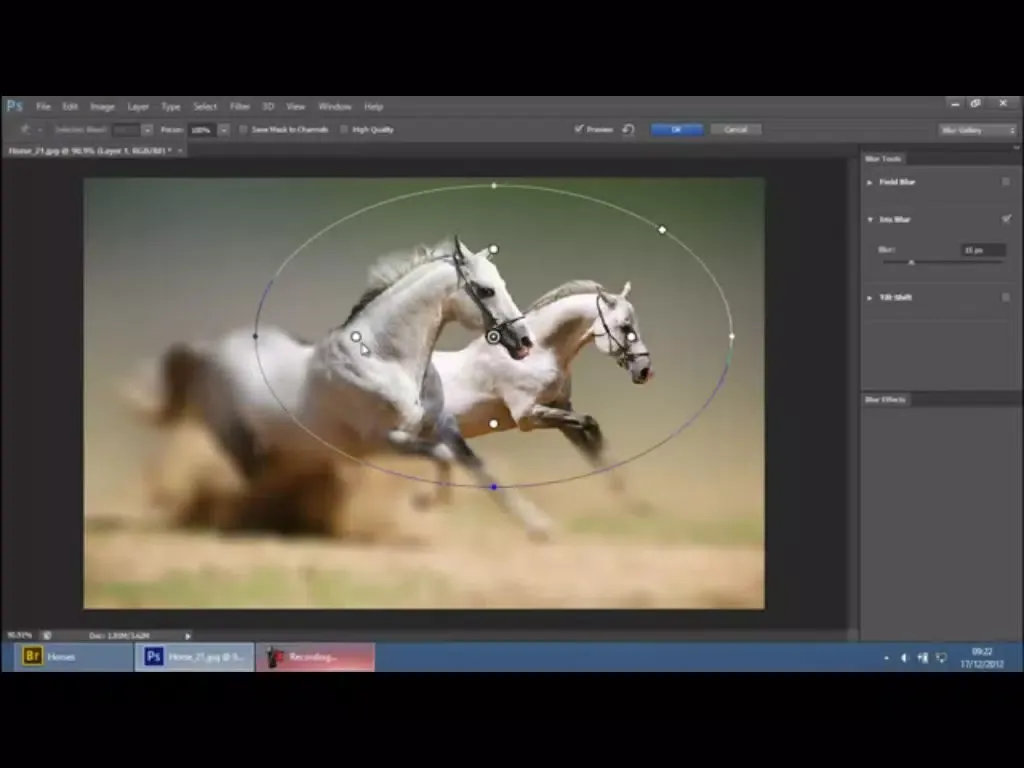 Master Class Adobe Photoshop Edition iPad  سکرین شاٹس