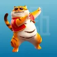 Tiger - company management