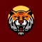 Fortune Tiger Adventure