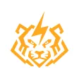 Tiger Partner