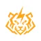 Tiger Partner