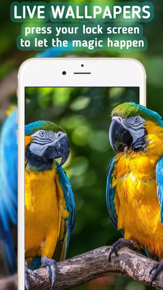 Captures d'écran de Animated Wallpapers — Live Wallpapers