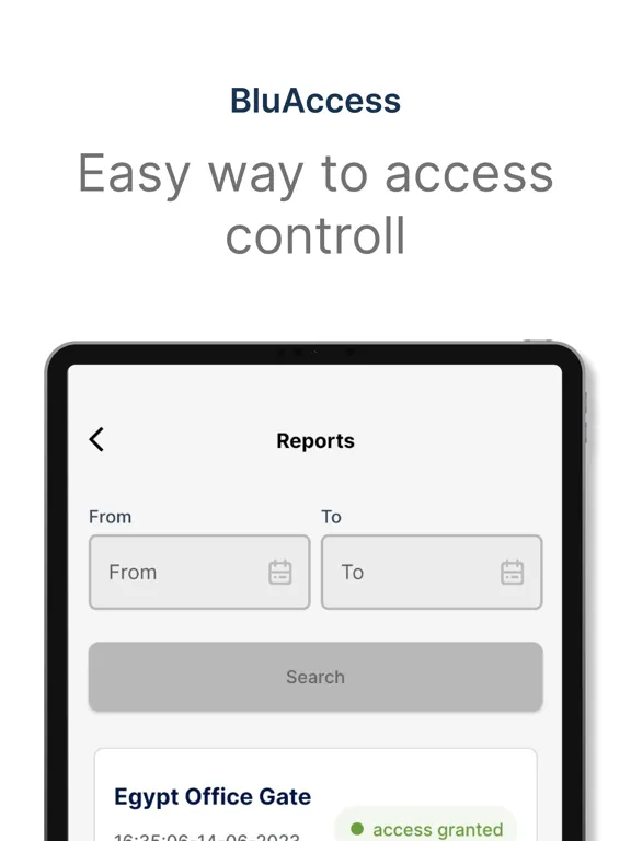 Tangkapan layar BluAccess iPad 