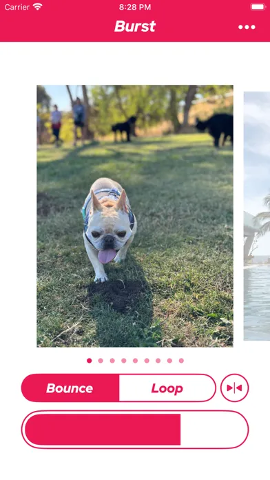 The Burst App Screenshots