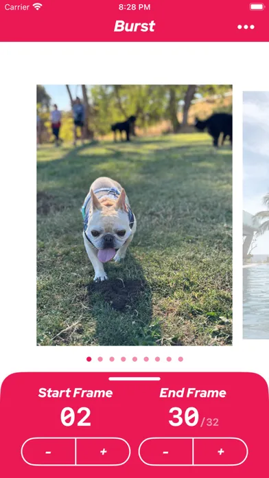 The Burst App Screenshots