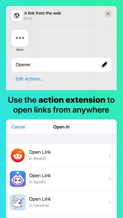 Opener ‒ open links in apps سکرین شاٹس